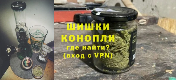 сатива Богородицк