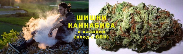 прущая мука Белокуриха