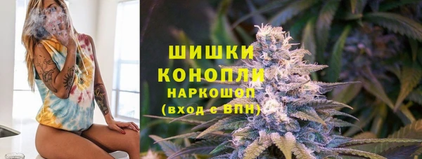 бошки Богданович