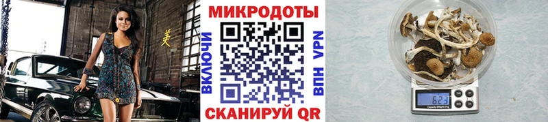 Галлюциногенные грибы Psilocybe  блэк спрут рабочий сайт  Минеральные Воды 